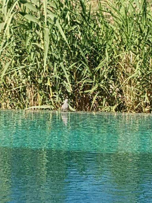Le Figuier Du Lac Bin Elouidane Esterno foto